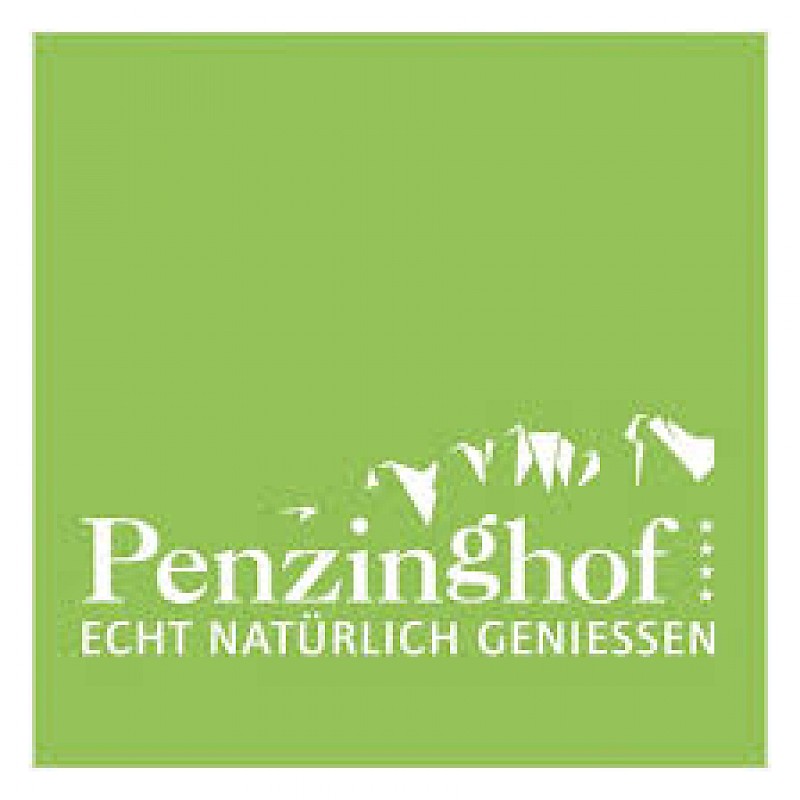 Hotel Penzinghof****, Oberndorf